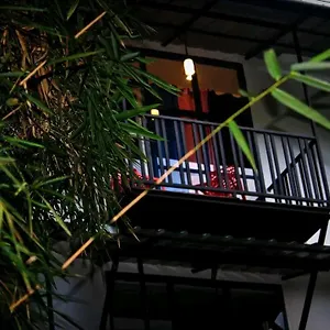 Avocado Meppadi