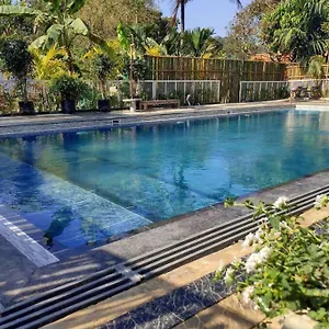 Ibiza Wonderland , Wayanad Meppadi