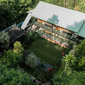 Brook Streak Wayanad Meppadi