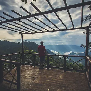 After The Rains - Rainforest Meppadi